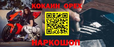 спиды Бердск