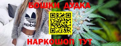спиды Бердск