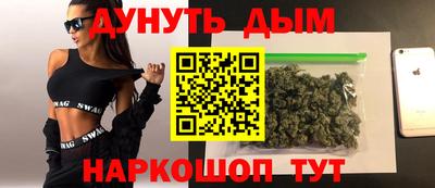 спиды Бердск
