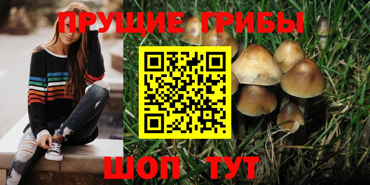 Псилоцибиновые грибы Psilocybine cubensis  закладка  Строитель  Галлюциногенные грибы прущие грибы  Вход с VPN 